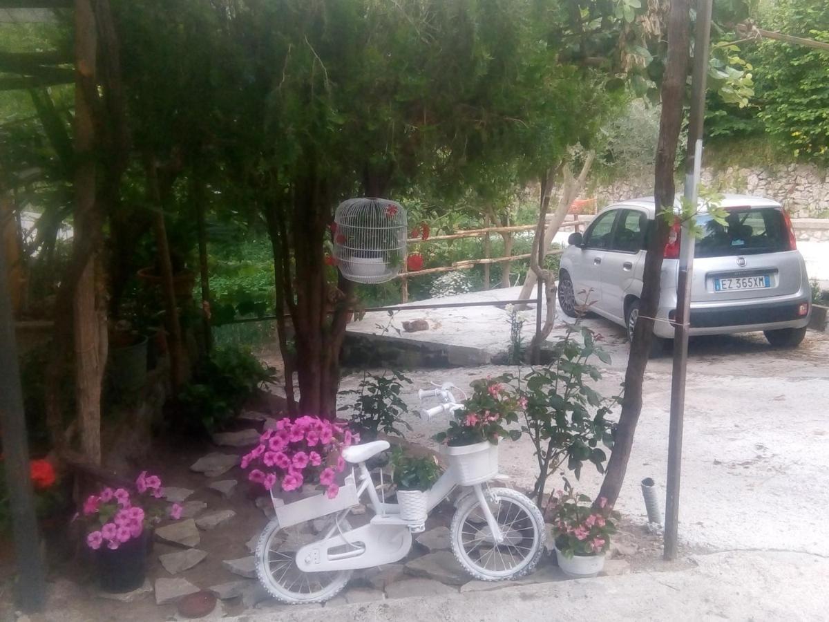Amaa Casa Bed & Breakfast Vico Equense Exterior photo